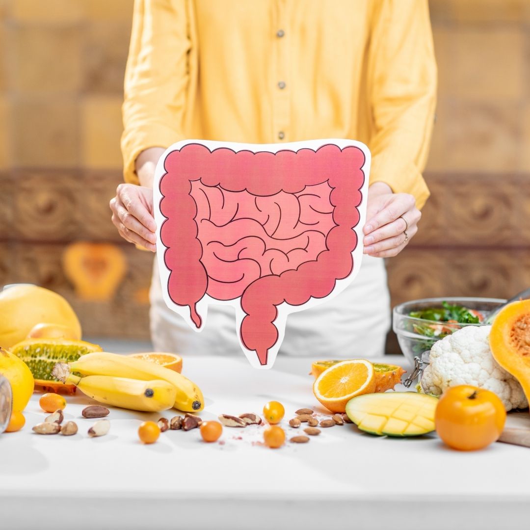 Neuer Artikel Vorlage (16) Darmgesundheit