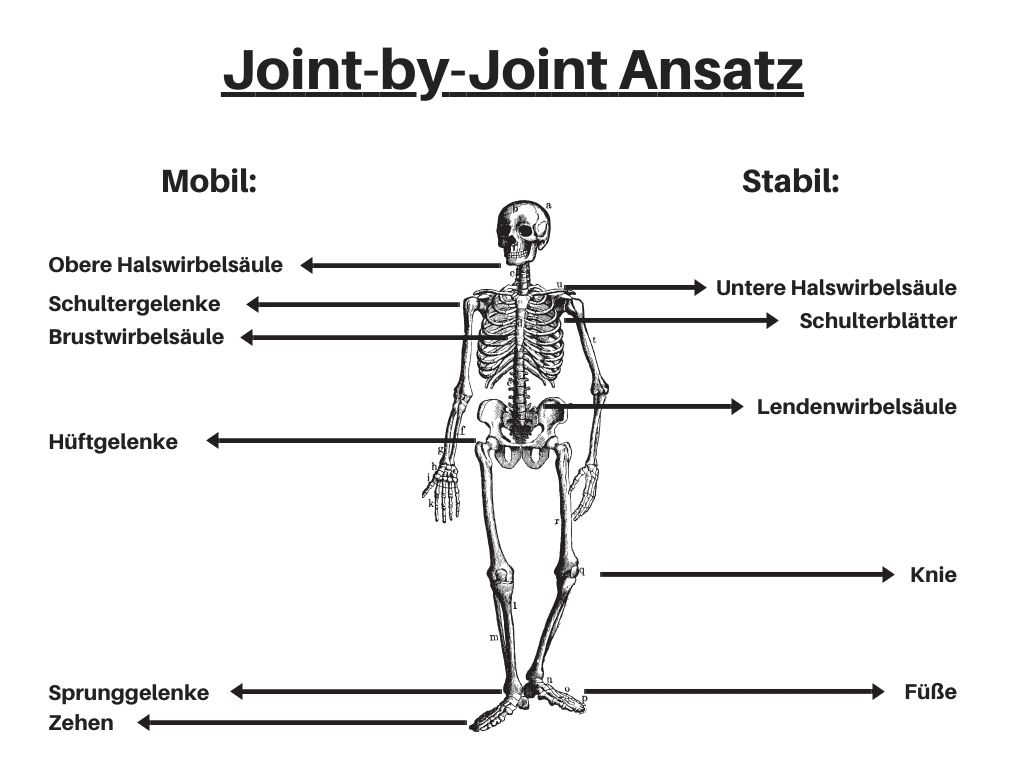 joint by joint ansatz