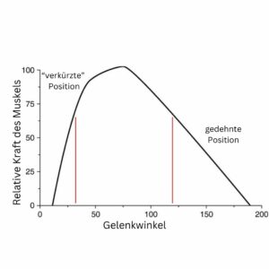 Längen Spannungs Verhältnis