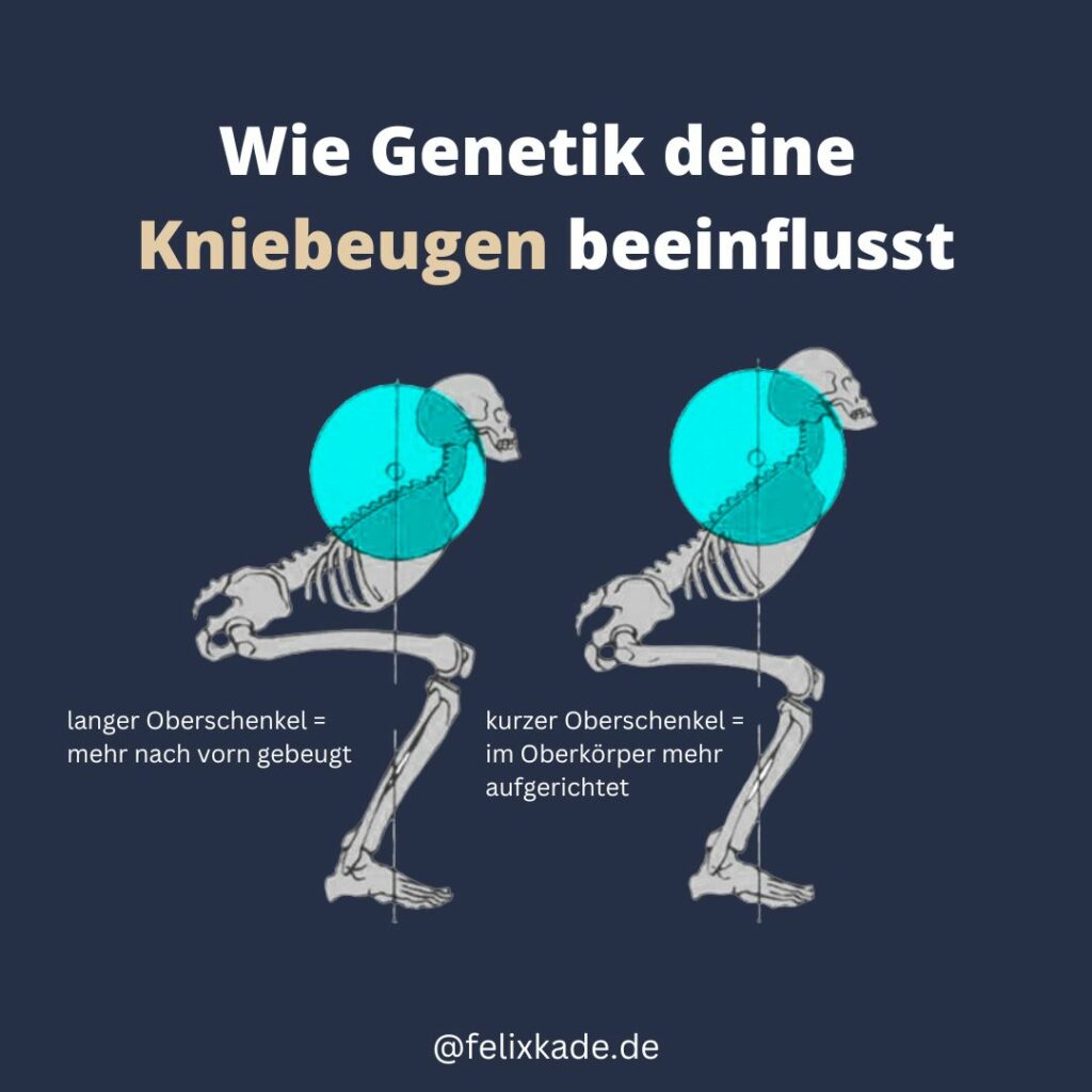 Wie Genetik die Beweglichkeit für Kniebeugen beeinflusst