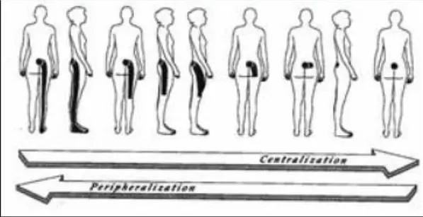 zentralisation Zentralisation vs Peripherlisation